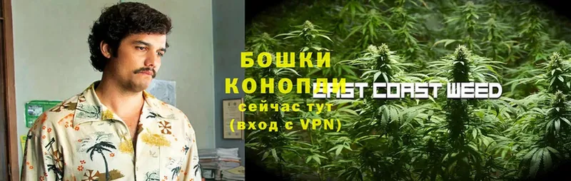 ссылка на мегу ссылка  что такое наркотик  Андреаполь  Марихуана Amnesia 